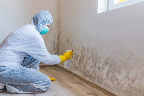 Best Mold Testing  in Marshall, VA