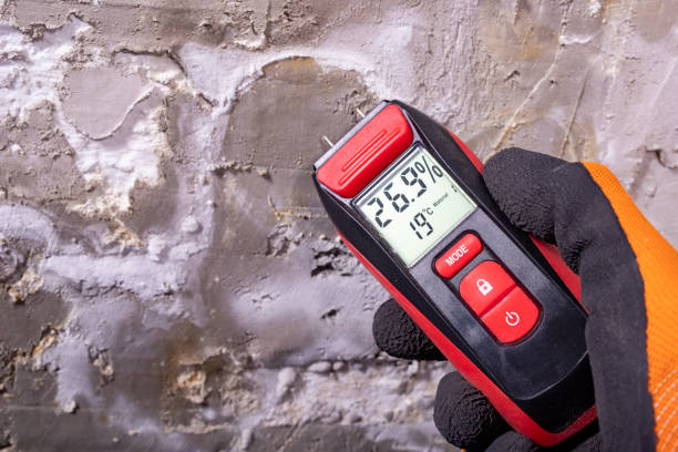 Best Commercial Mold Removal  in Marshall, VA