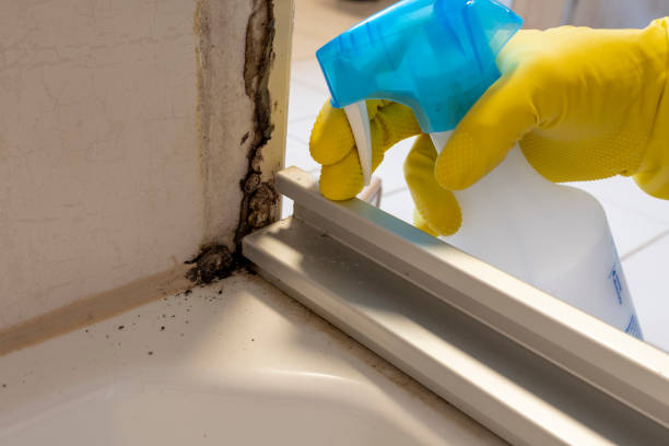 Best Residential Mold Removal  in Marshall, VA