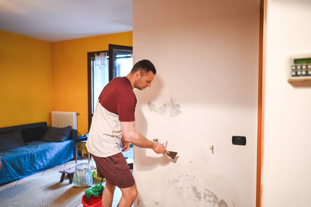 Mold Testing and Removal in Marshall, VA