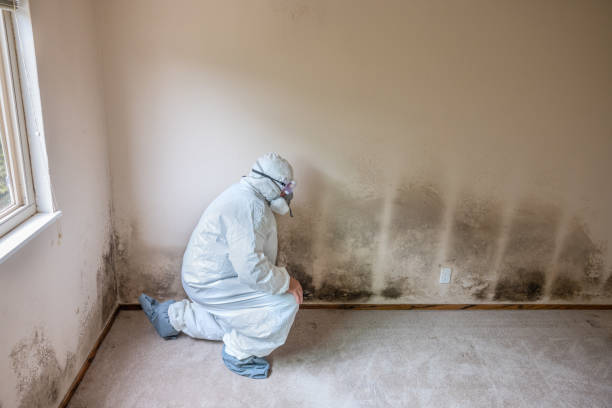 Best Crawl Space Mold Removal  in Marshall, VA